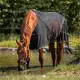 Back on Track Sienna Mesh zweetdeken